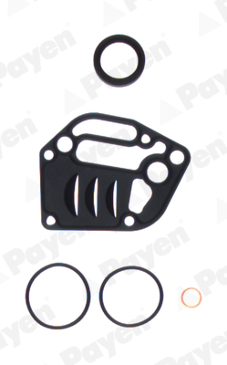 Set garnituri, carter EY841 PAYEN