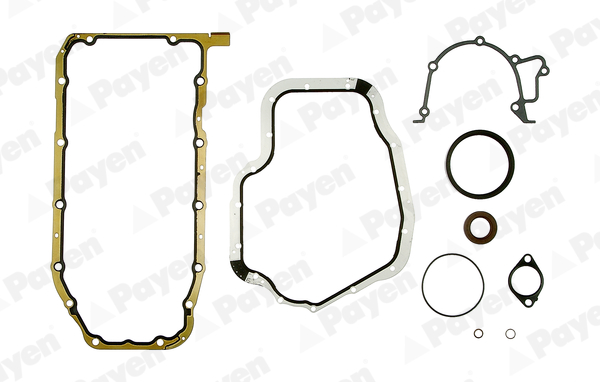 Set garnituri, carter HC5007 PAYEN