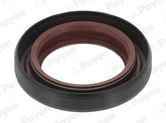 Simering, diferential NA5205 PAYEN