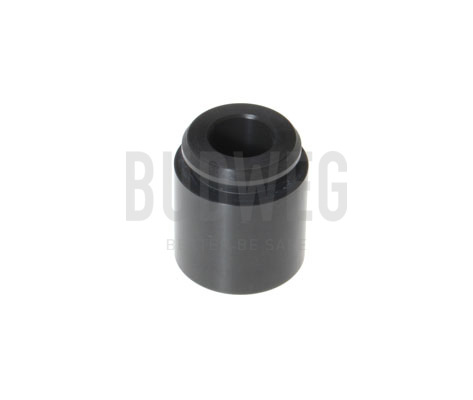 Piston, etrier frana 232801 BUDWEG CALIPER
