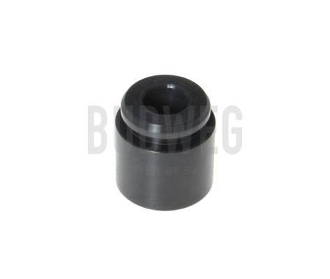 Piston, etrier frana 233028 BUDWEG CALIPER