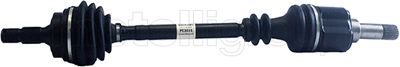 Planetara 17-0058 METELLI