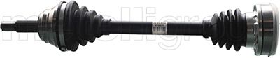 Planetara 17-0339 METELLI