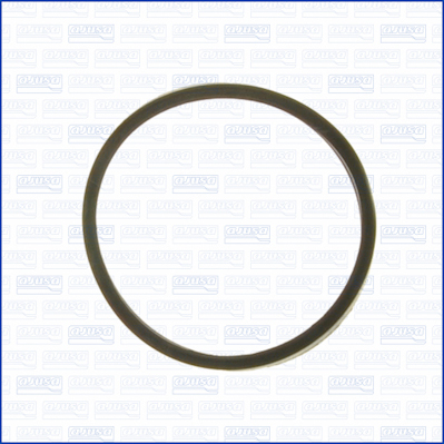 Garnitura termostat 00595600 AJUSA
