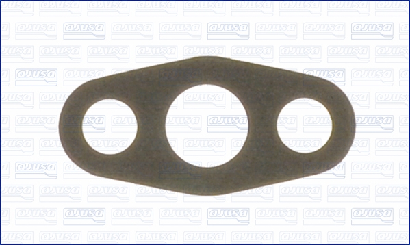 Garnitura, racord evacuare 00769100 AJUSA