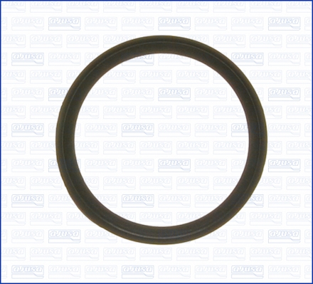 Garnitura termostat 00787200 AJUSA