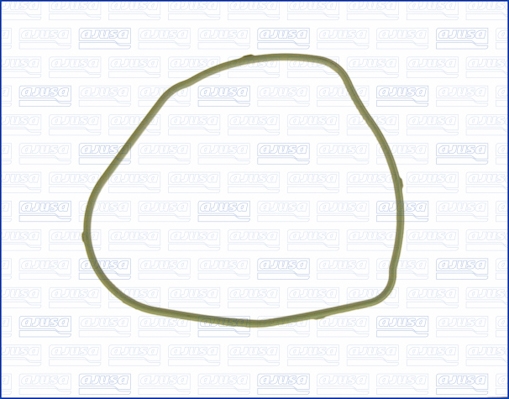 Garnitura, carcasa termostat 00863300 AJUSA