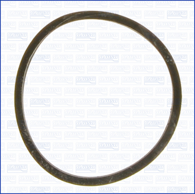 Garnitura termostat 00924900 AJUSA