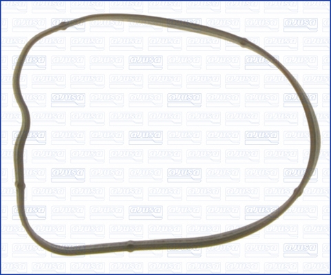 Garnitura, carcasa termostat 01061800 AJUSA