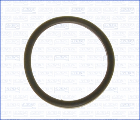 Garnitura termostat 01193700 AJUSA