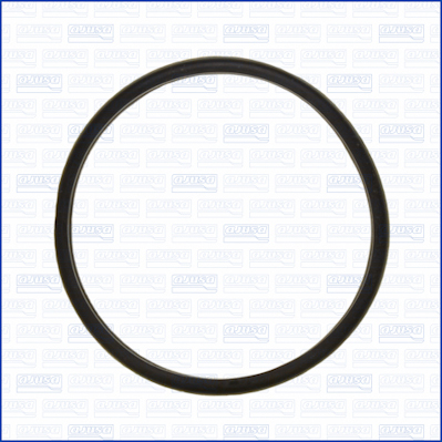 Garnitura termostat 01240800 AJUSA