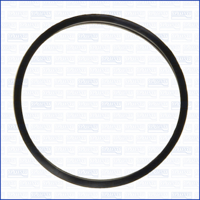 Garnitura termostat 01309400 AJUSA