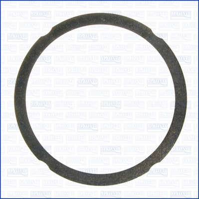 Garnitura, chiulasa 10172200 AJUSA