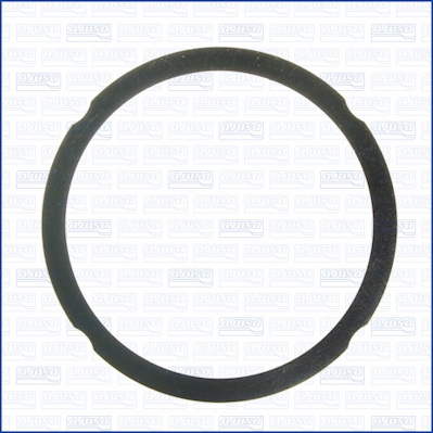 Garnitura, chiulasa 10172500 AJUSA