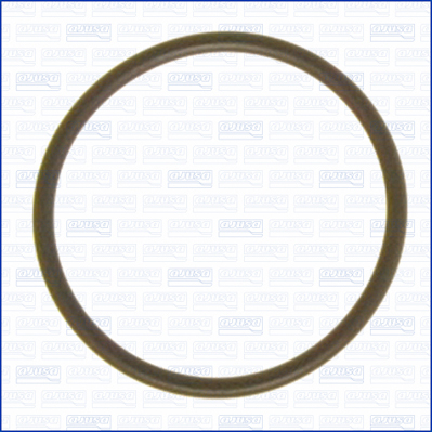 Garnitura termostat 16023000 AJUSA
