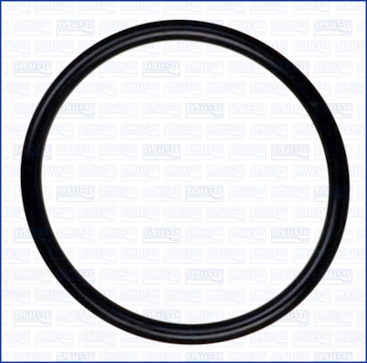 Garnitura, carcasa filtru aer 16074900 AJUSA