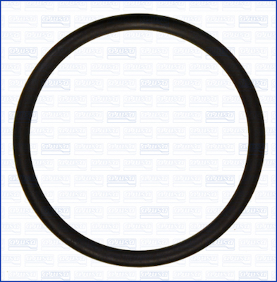 Garnitura termostat 16087600 AJUSA
