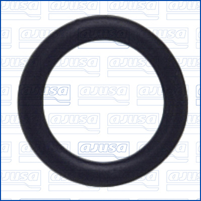 Garnituri, carcasa filtru ulei 16118400 AJUSA