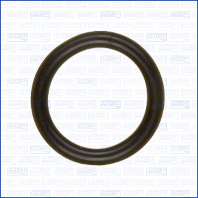 Garnitura,teava lichi de racire 16501900 AJUSA