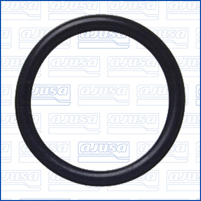 Garnitura,teava lichi de racire 16525800 AJUSA