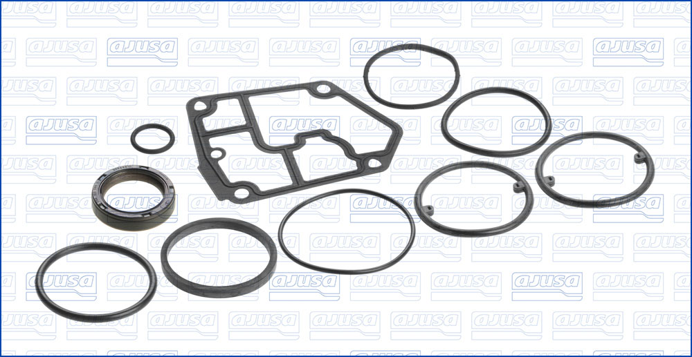 Set garnituri, carter 54139400 AJUSA