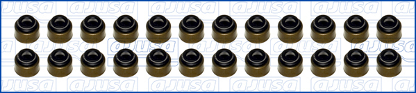 Set garnituri, ax supape 57015500 AJUSA