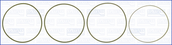 Set garnituri, bucsa cilindru 60007300 AJUSA
