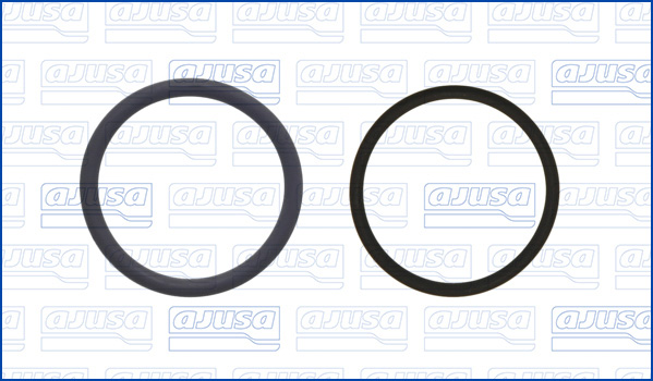 Set garnitura sistem EGR 77072100 AJUSA
