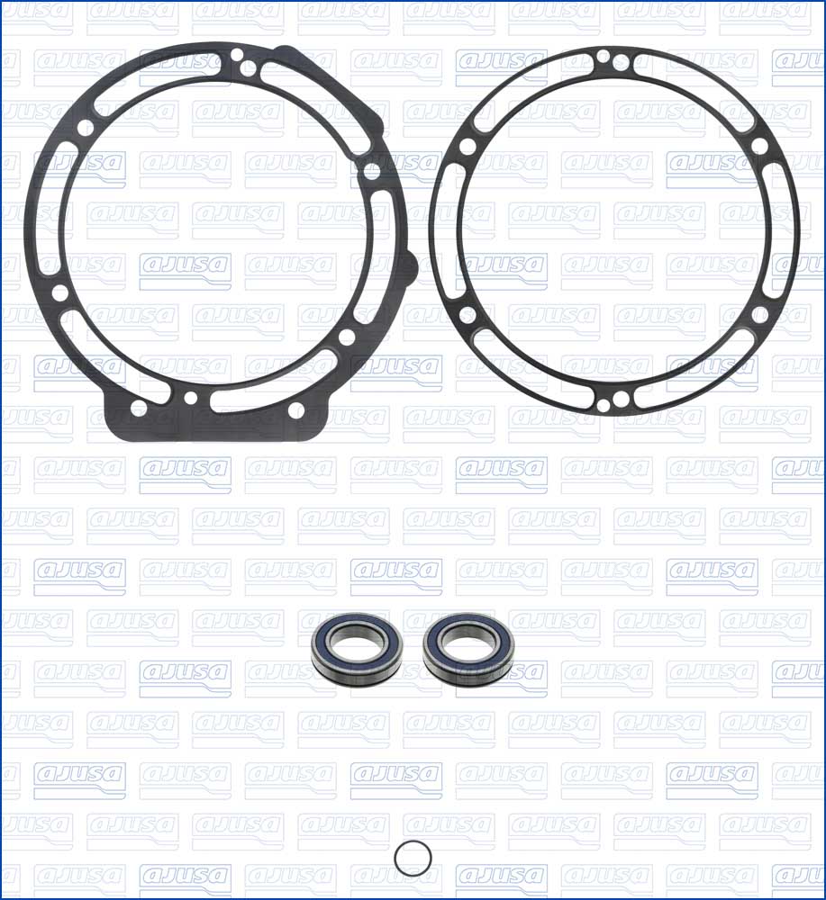 Set garnituri de etanșare, motor electric EV000701 AJUSA