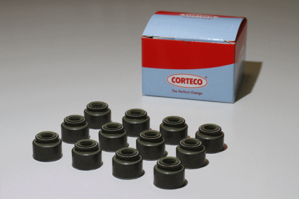 Set garnituri, ax supape 19036120 CORTECO