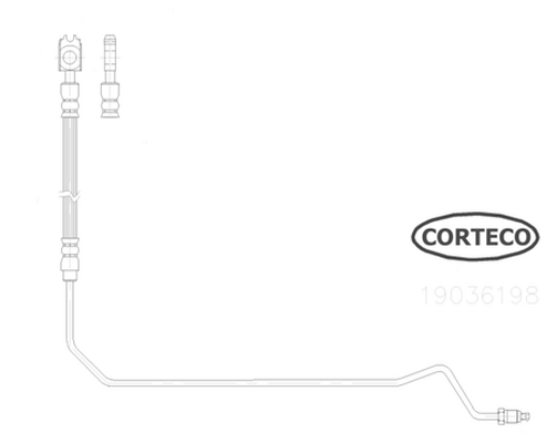 Furtun frana 19036198 CORTECO