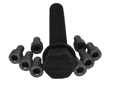 Set surub, disc curea-arbore cotit 80001262 CORTECO