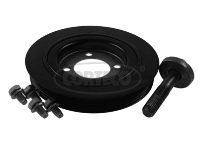 Set fulie, arbore cotit 80001994 CORTECO
