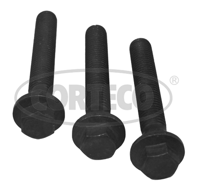 Set surub, disc curea-arbore cotit 80004867 CORTECO