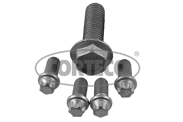 Set surub, disc curea-arbore cotit 80004897 CORTECO