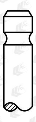 Supapa evacuare V95146 AE