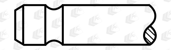 Supapa evacuare V95216 AE
