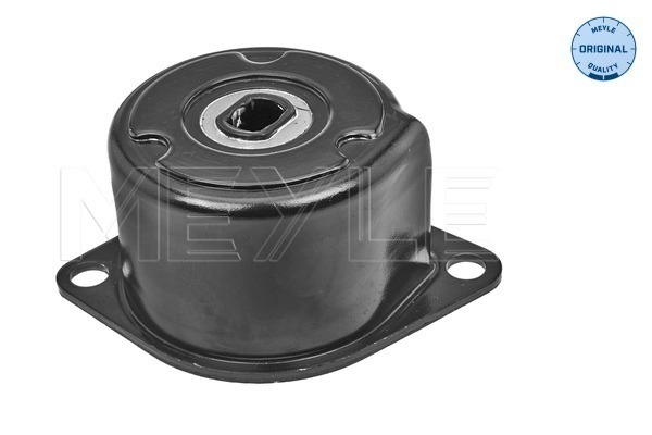 Intinzator curea, curea distributie 100 903 1130 MEYLE