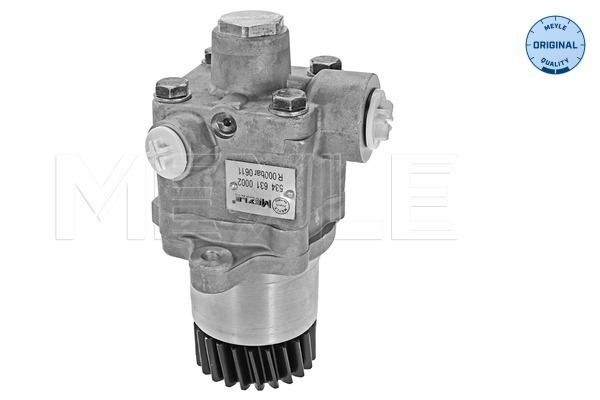 Pompa hidraulica, sistem de directie 534 631 0002 MEYLE