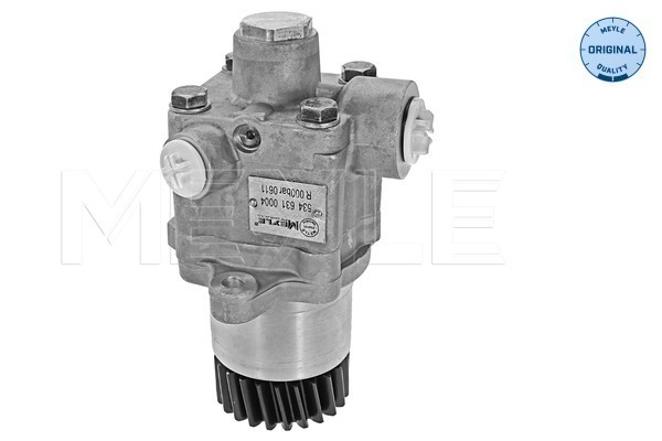 Pompa hidraulica, sistem de directie 534 631 0004 MEYLE