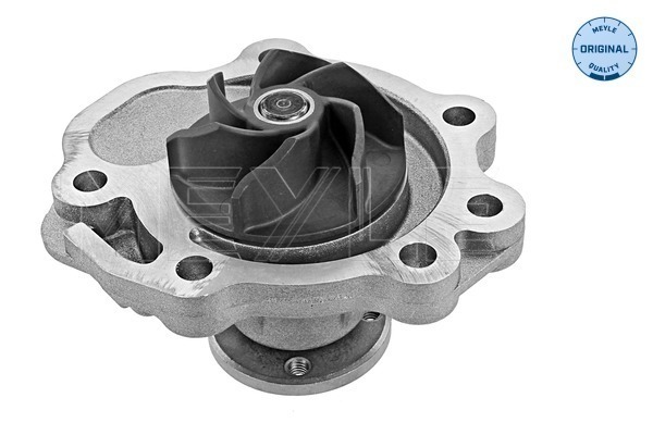 Pompă de apă, răcire motor 613 220 0008 MEYLE