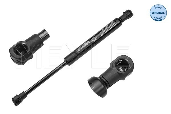 Amortizor portbagaj 640 910 0062 MEYLE