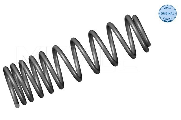 Arc spiral 100 739 0010 MEYLE