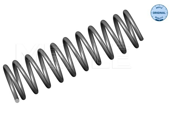 Arc spiral 100 739 0026 MEYLE