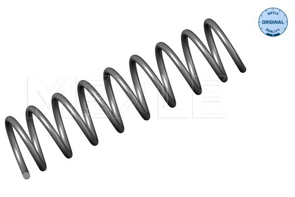 Arc spiral 314 739 0003 MEYLE