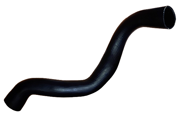 Furtun ear supraalimentare 81837 BUGIAD