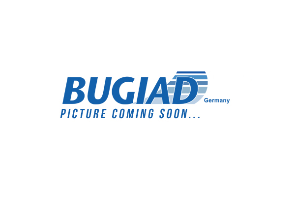 Fixare usa BDC12462 BUGIAD