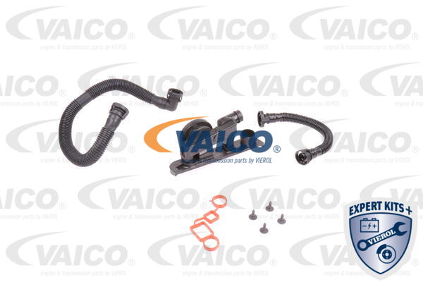 Set reparatie, aerisire baie ulei V10-3247 VAICO