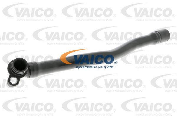 Furtun,aerisire bloc motor V10-4694 VAICO