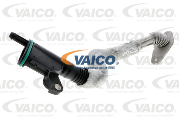 Furtun,aerisire bloc motor V10-4852 VAICO